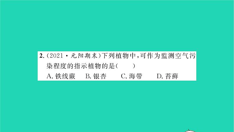 2022—2023学年度新版生物北师大版八年级下册第7单元生命的演化第22章物种的多样性第3节植物的主要类群第1课时苔藓植物和蕨类植物习题课件第6页