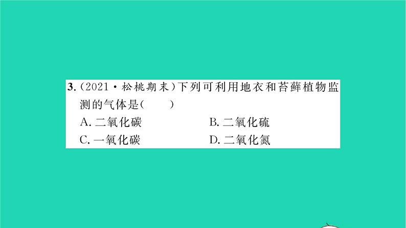 2022—2023学年度新版生物北师大版八年级下册第7单元生命的演化第22章物种的多样性第3节植物的主要类群第1课时苔藓植物和蕨类植物习题课件第7页