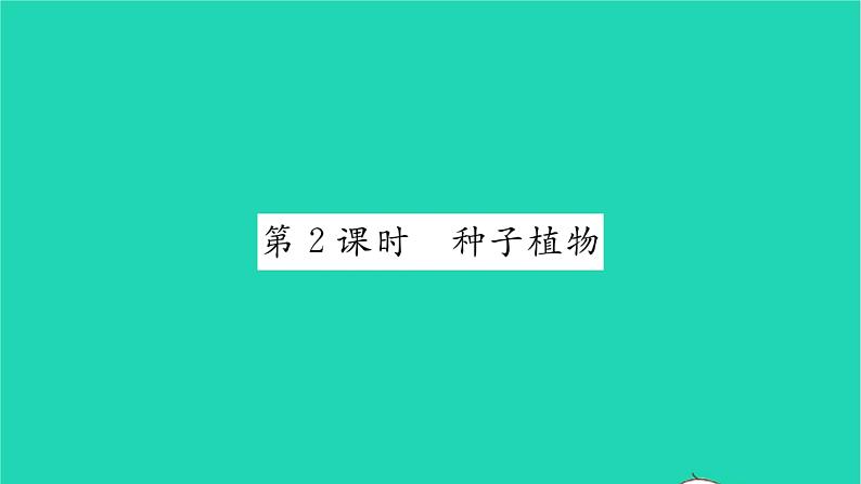 2022—2023学年度新版生物北师大版八年级下册第7单元生命的演化第22章物种的多样性第3节植物的主要类群第2课时种子植物习题课件01