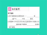 2022—2023学年度新版生物北师大版八年级下册第7单元生命的演化第22章物种的多样性第3节植物的主要类群第2课时种子植物习题课件
