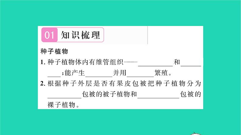 2022—2023学年度新版生物北师大版八年级下册第7单元生命的演化第22章物种的多样性第3节植物的主要类群第2课时种子植物习题课件02