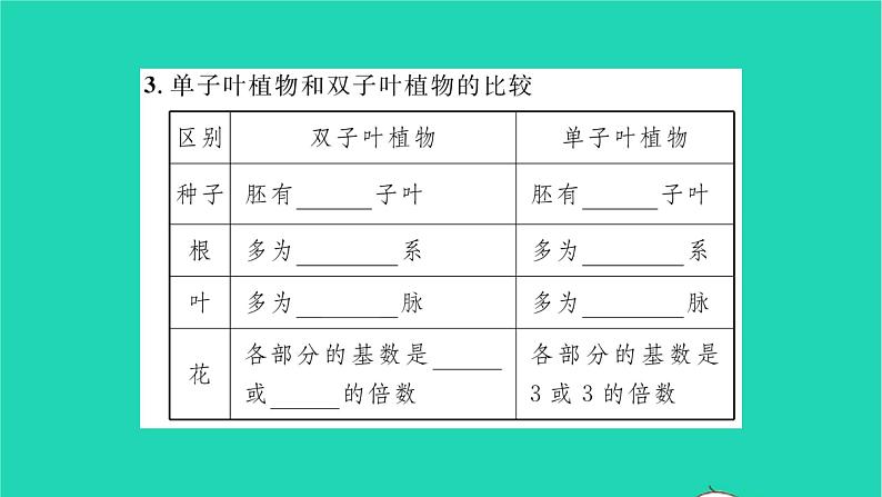 2022—2023学年度新版生物北师大版八年级下册第7单元生命的演化第22章物种的多样性第3节植物的主要类群第2课时种子植物习题课件03