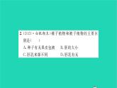 2022—2023学年度新版生物北师大版八年级下册第7单元生命的演化第22章物种的多样性第3节植物的主要类群第2课时种子植物习题课件
