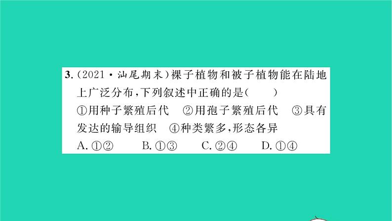 2022—2023学年度新版生物北师大版八年级下册第7单元生命的演化第22章物种的多样性第3节植物的主要类群第2课时种子植物习题课件06