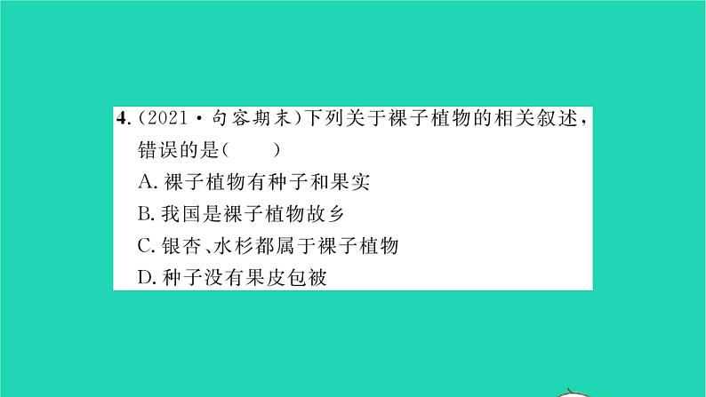 2022—2023学年度新版生物北师大版八年级下册第7单元生命的演化第22章物种的多样性第3节植物的主要类群第2课时种子植物习题课件07