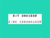 2022—2023学年度新版生物北师大版八年级下册第7单元生命的演化第22章物种的多样性第4节动物的主要类群第1课时无脊椎动物的主要类群习题课件