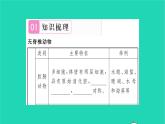 2022—2023学年度新版生物北师大版八年级下册第7单元生命的演化第22章物种的多样性第4节动物的主要类群第1课时无脊椎动物的主要类群习题课件