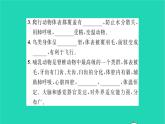 2022—2023学年度新版生物北师大版八年级下册第7单元生命的演化第22章物种的多样性第4节动物的主要类群第2课时脊椎动物的主要类群习题课件