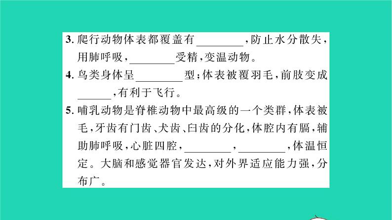 2022—2023学年度新版生物北师大版八年级下册第7单元生命的演化第22章物种的多样性第4节动物的主要类群第2课时脊椎动物的主要类群习题课件03