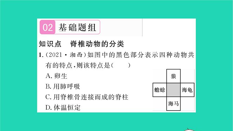 2022—2023学年度新版生物北师大版八年级下册第7单元生命的演化第22章物种的多样性第4节动物的主要类群第2课时脊椎动物的主要类群习题课件04