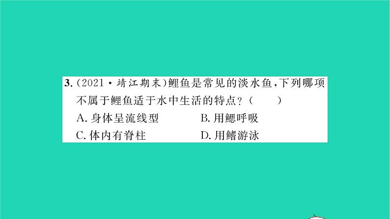 2022—2023学年度新版生物北师大版八年级下册第7单元生命的演化第22章物种的多样性第4节动物的主要类群第2课时脊椎动物的主要类群习题课件06