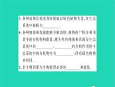 2022—2023学年度新版生物北师大版八年级下册第8单元生物与环境第23章生态系统及其稳定性第2节生态系统概述习题课件