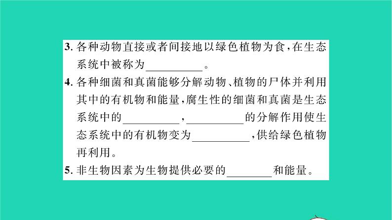 2022—2023学年度新版生物北师大版八年级下册第8单元生物与环境第23章生态系统及其稳定性第2节生态系统概述习题课件04