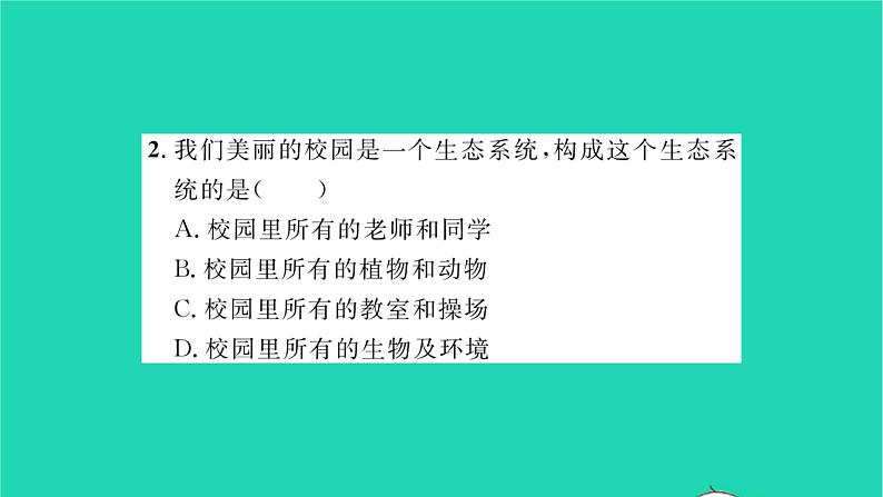 2022—2023学年度新版生物北师大版八年级下册第8单元生物与环境第23章生态系统及其稳定性第2节生态系统概述习题课件06