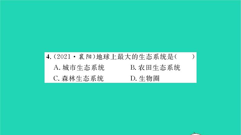 2022—2023学年度新版生物北师大版八年级下册第8单元生物与环境第23章生态系统及其稳定性第2节生态系统概述习题课件08