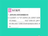 2022—2023学年度新版生物北师大版八年级下册第8单元生物与环境第23章生态系统及其稳定性第3节生态系统的结构和功能习题课件