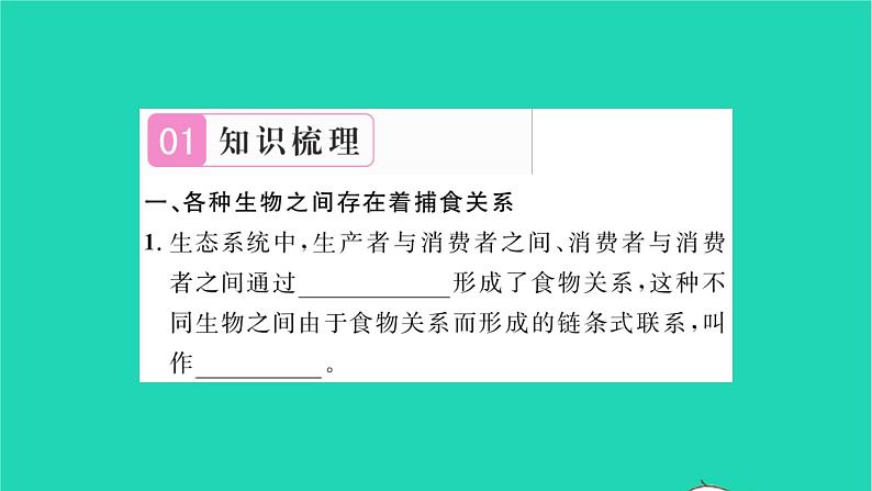 2022—2023学年度新版生物北师大版八年级下册第8单元生物与环境第23章生态系统及其稳定性第3节生态系统的结构和功能习题课件第2页