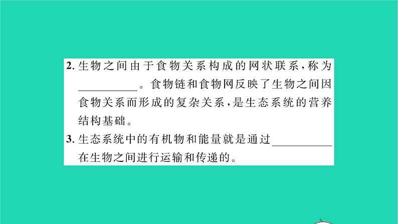 2022—2023学年度新版生物北师大版八年级下册第8单元生物与环境第23章生态系统及其稳定性第3节生态系统的结构和功能习题课件第3页