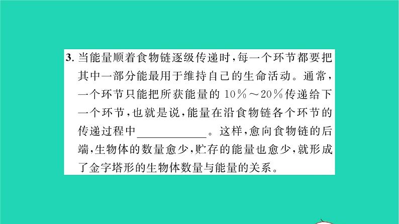 2022—2023学年度新版生物北师大版八年级下册第8单元生物与环境第23章生态系统及其稳定性第3节生态系统的结构和功能习题课件第5页