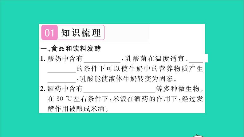 2022—2023学年度新版生物北师大版八年级下册第9单元生物技术第25章生物技术第1节发酵技术习题课件02