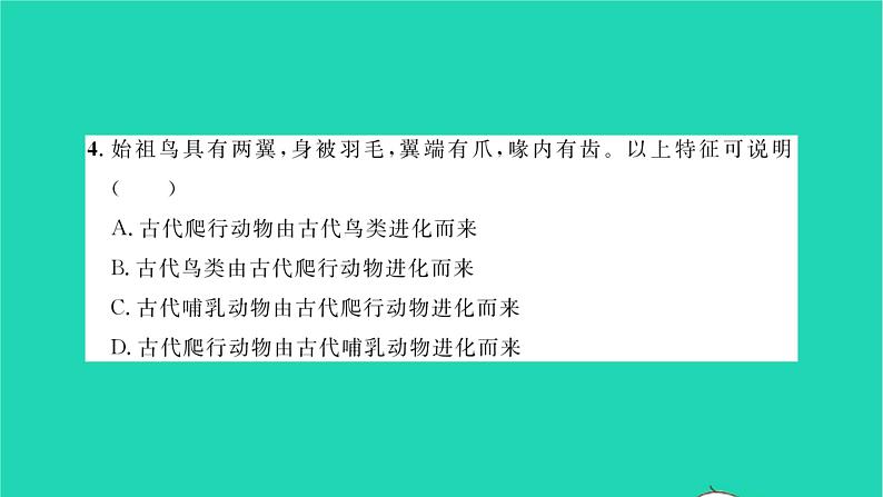 2022—2023学年度新版生物北师大版八年级下学期期中检测习题课件05