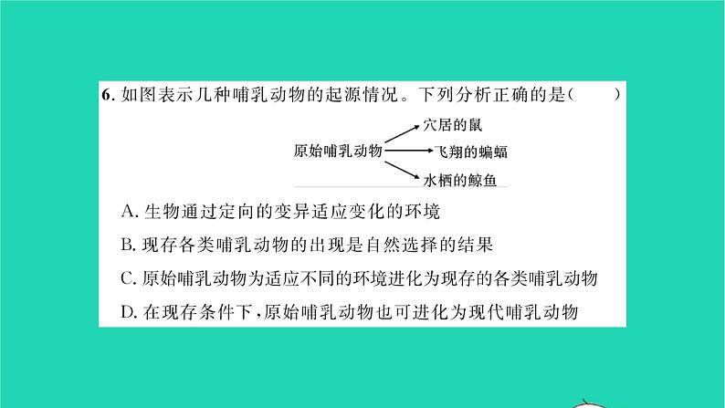 2022—2023学年度新版生物北师大版八年级下学期期中检测习题课件07