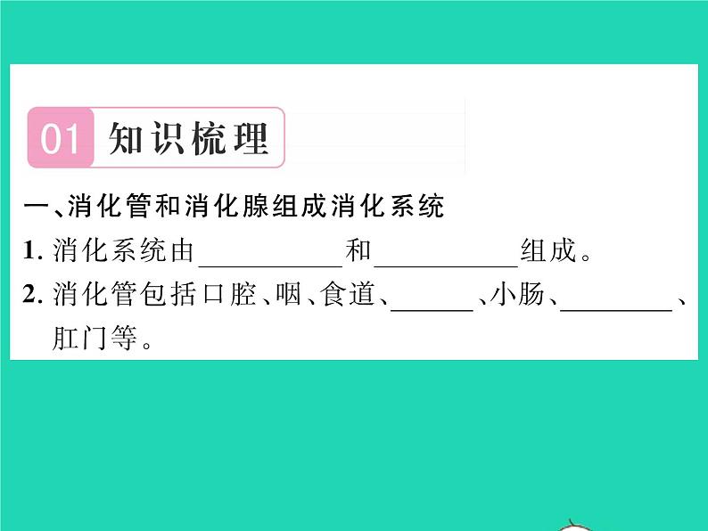 2022七年级生物下册第8章人体的营养第2节食物的消化和营养物质的吸收习题课件新版北师大版02