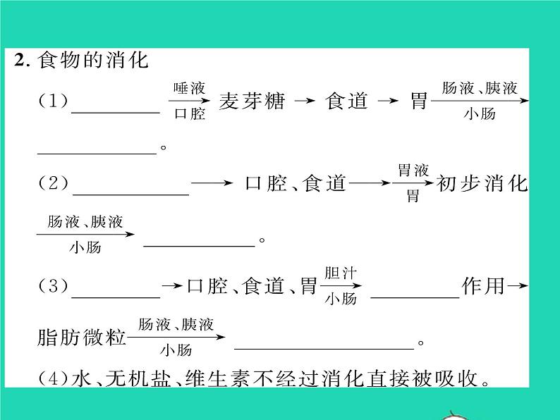 2022七年级生物下册第8章人体的营养第2节食物的消化和营养物质的吸收习题课件新版北师大版第5页