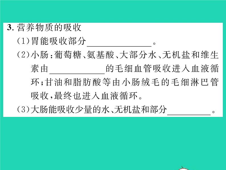 2022七年级生物下册第8章人体的营养第2节食物的消化和营养物质的吸收习题课件新版北师大版第7页