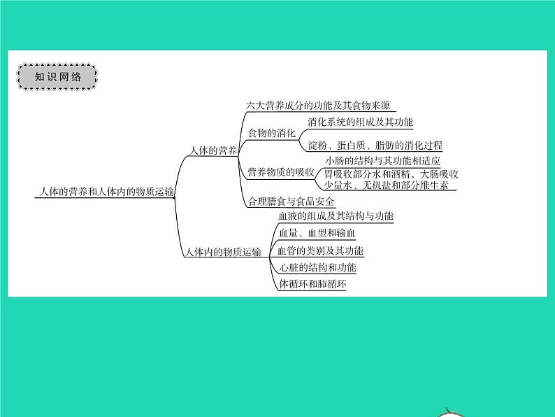 2022七年级生物下册第9章人体内的物质运输章末复习与小结习题课件新版北师大版第2页