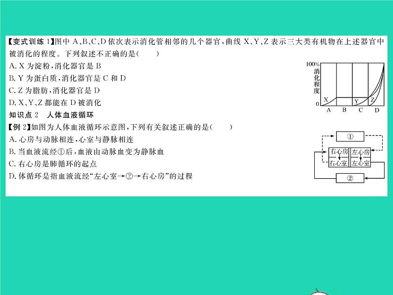 2022七年级生物下册第9章人体内的物质运输章末复习与小结习题课件新版北师大版第4页