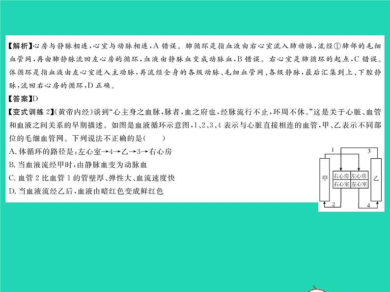 2022七年级生物下册第9章人体内的物质运输章末复习与小结习题课件新版北师大版第5页