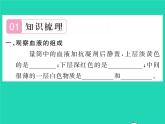 2022七年级生物下册第9章人体内的物质运输第1节血液习题课件新版北师大版