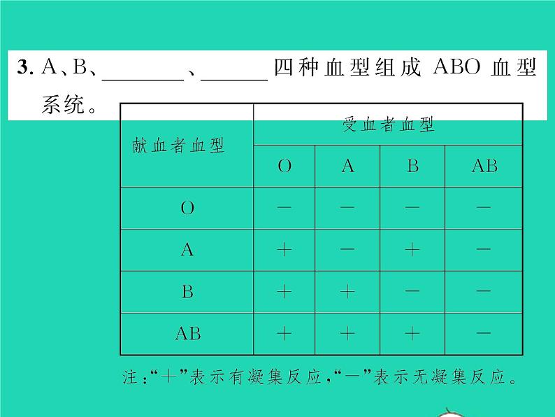 2022七年级生物下册第9章人体内的物质运输第1节血液习题课件新版北师大版08