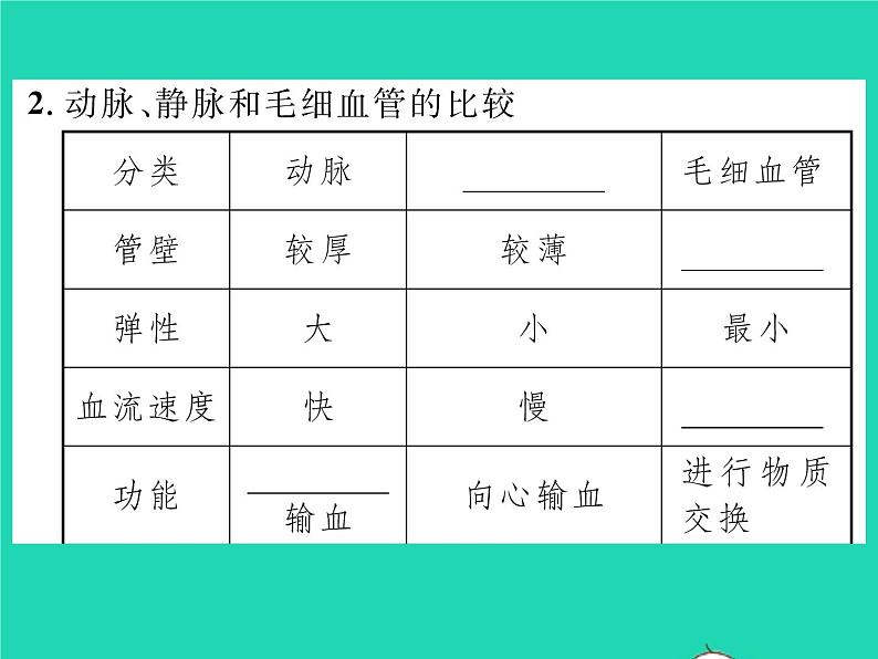 2022七年级生物下册第9章人体内的物质运输第2节血液循环第1课时血管与心脏习题课件新版北师大版03