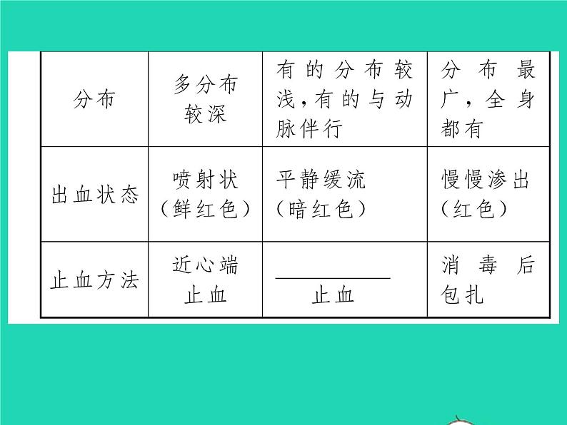 2022七年级生物下册第9章人体内的物质运输第2节血液循环第1课时血管与心脏习题课件新版北师大版04