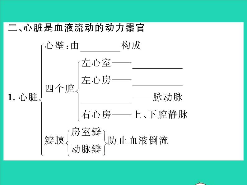 2022七年级生物下册第9章人体内的物质运输第2节血液循环第1课时血管与心脏习题课件新版北师大版05