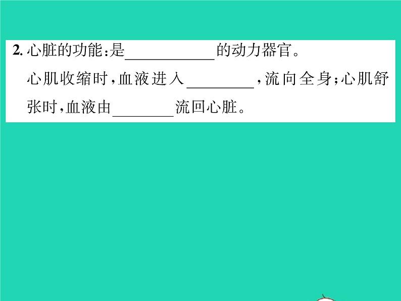 2022七年级生物下册第9章人体内的物质运输第2节血液循环第1课时血管与心脏习题课件新版北师大版06