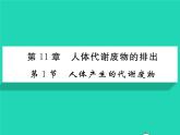 2022七年级生物下册第11章人体代谢废物的排出第1节人体产生的代谢废物习题课件新版北师大版