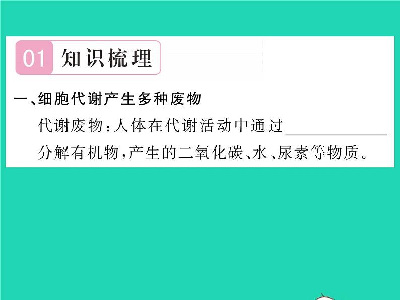 2022七年级生物下册第11章人体代谢废物的排出第1节人体产生的代谢废物习题课件新版北师大版02