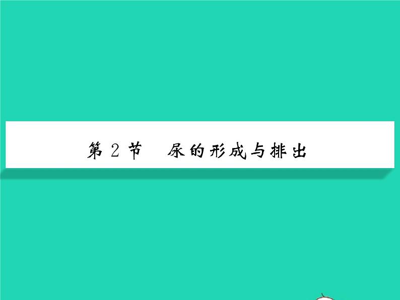 2022七年级生物下册第11章人体代谢废物的排出第2节尿的形成与排出习题课件新版北师大版第1页