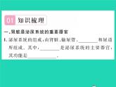 2022七年级生物下册第11章人体代谢废物的排出第2节尿的形成与排出习题课件新版北师大版