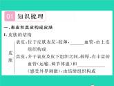 2022七年级生物下册第11章人体代谢废物的排出第3节皮肤与汗液分泌习题课件新版北师大版