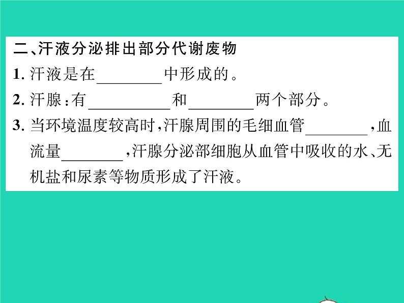 2022七年级生物下册第11章人体代谢废物的排出第3节皮肤与汗液分泌习题课件新版北师大版05