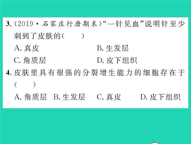 2022七年级生物下册第11章人体代谢废物的排出第3节皮肤与汗液分泌习题课件新版北师大版07