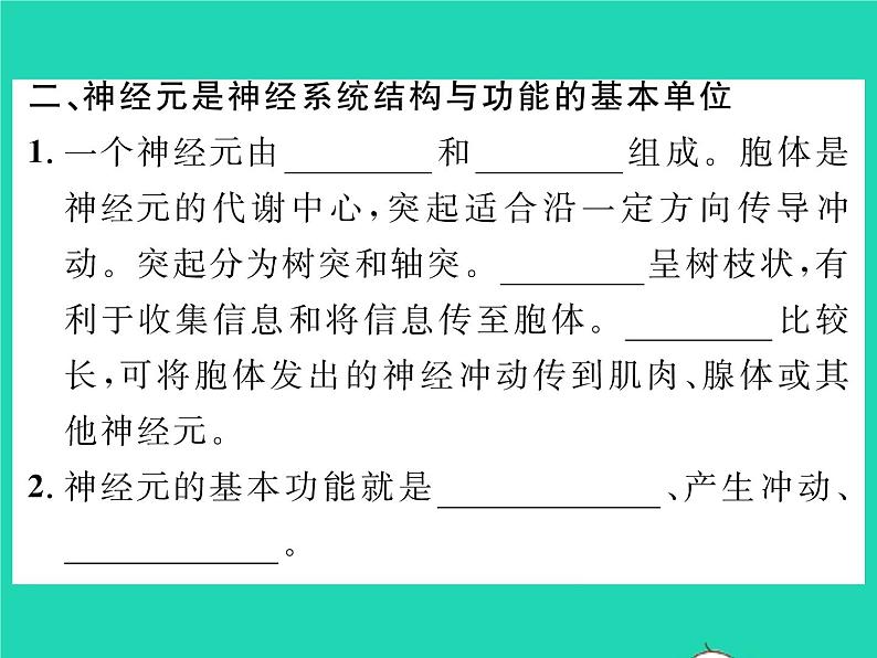 2022七年级生物下册第12章人体的自我调节第1节神经系统与神经调节第1课时神经系统的组成习题课件新版北师大版03