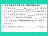 2022七年级生物下册第12章人体的自我调节第1节神经系统与神经调节第1课时神经系统的组成习题课件新版北师大版