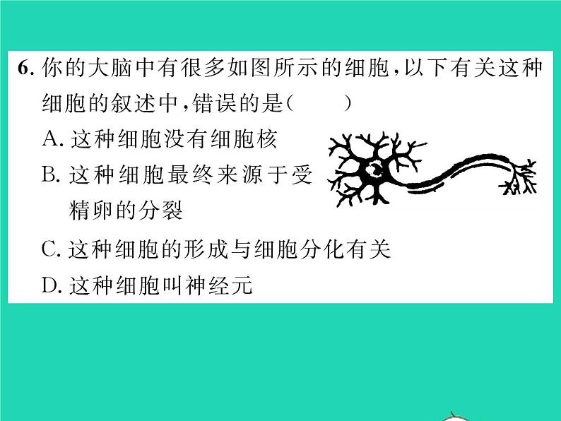 2022七年级生物下册第12章人体的自我调节第1节神经系统与神经调节第1课时神经系统的组成习题课件新版北师大版08