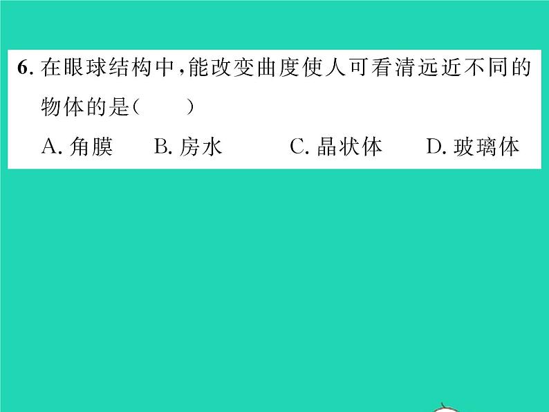 2022七年级生物下册第12章人体的自我调节第2节感受器和感觉器官第1课时眼与视觉习题课件新版北师大版08