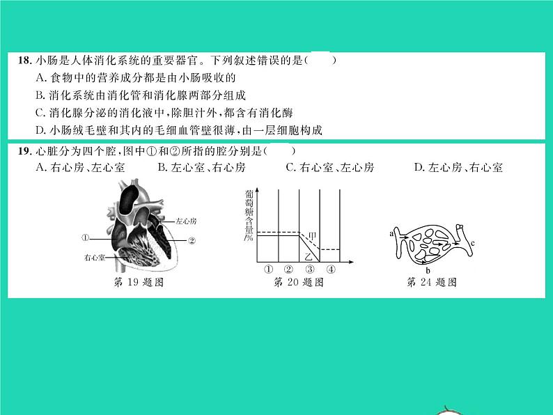 2022七年级生物下学期期中测试习题课件新版北师大版06